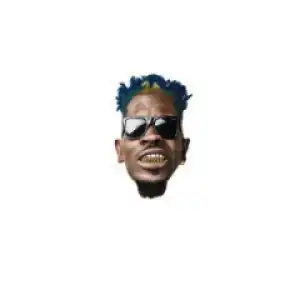 Shatta Wale - Crazy (Prod by MOG Beatz)